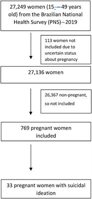 Prevalence and Associated Risk Factors of Suicidal Ideation Among Brazilian Pregnant Women: A Population-Based Study